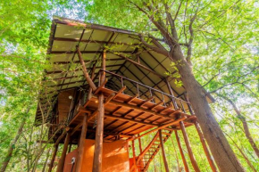 Kaala Kalaththewa Luxury Eco Resort